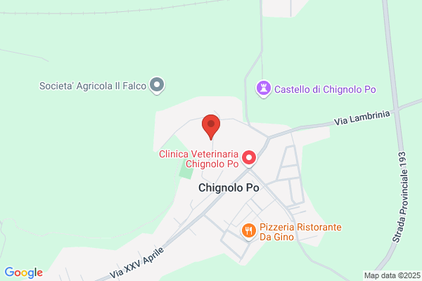 Viale rita