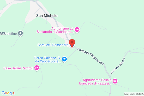 Scuttari alessandro