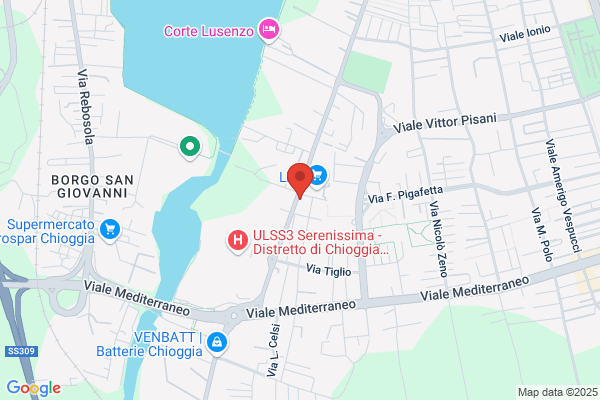 Scarpa rossana
