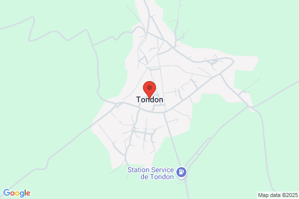Tondon gino