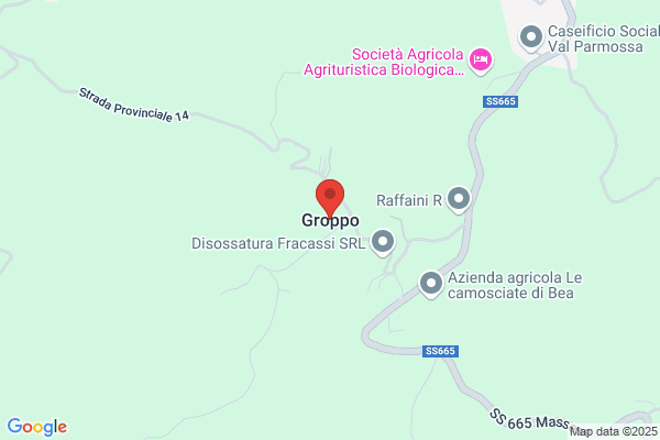 Groppo Roberto & Walter (S.N.C.)