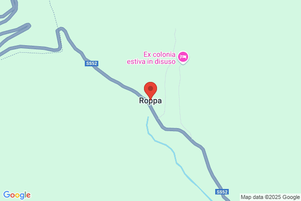 Roppa daniele