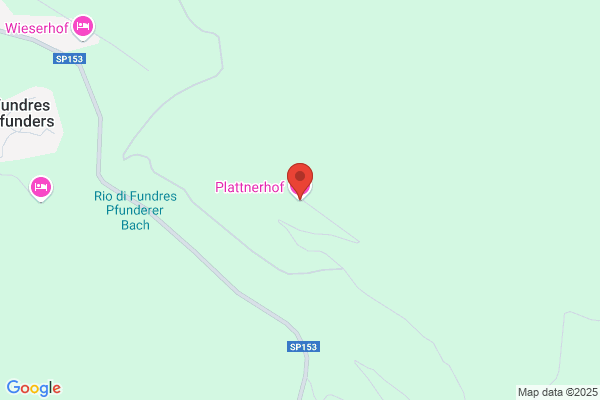 Plattner & Plattner