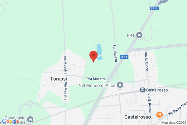 Torasso ernesto