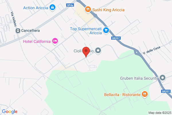 Lince Italia Srl
