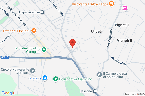 Liceo Scientifico Statale Vito Volterra Ciampino