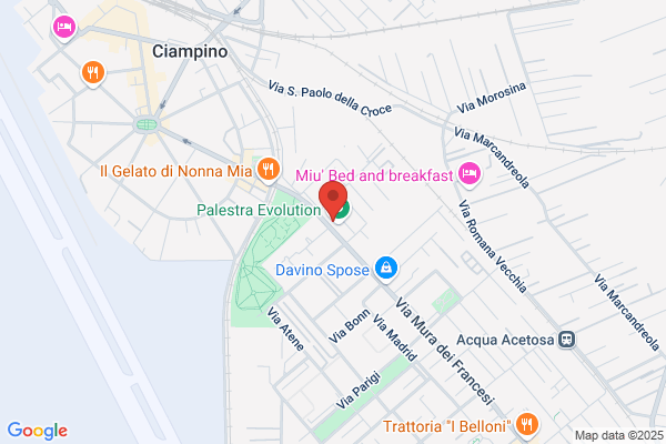 Optica Free Shop