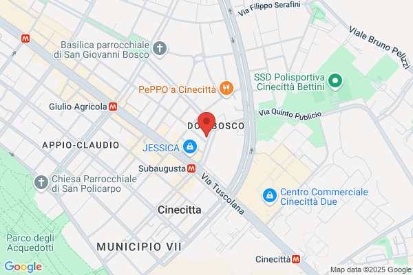 Viola Giorgio & Figli Srl
