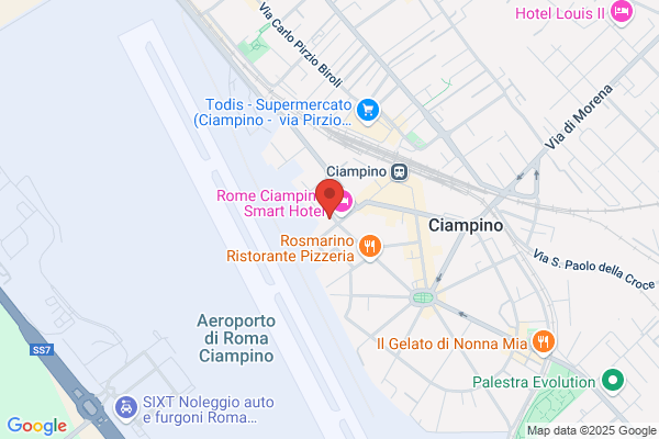 Roma nicolino (Dr.)