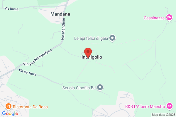 Paoli maurizio