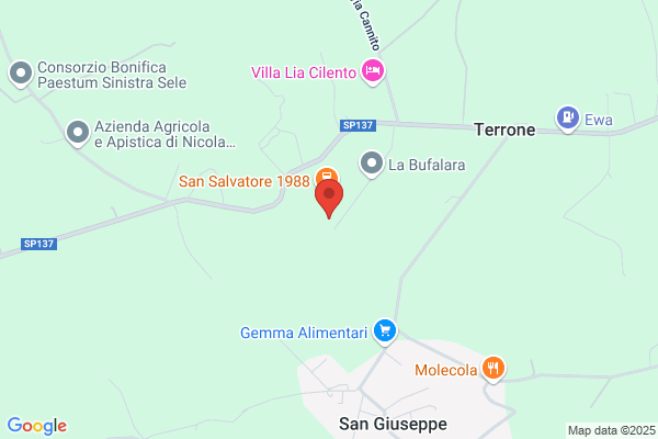 Murano Dolcezze Sas
