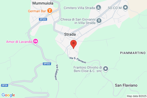 Scuole
