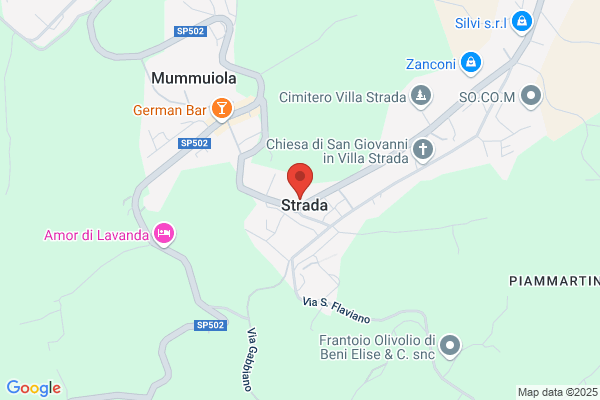 Agenzia Viaggi Co.A.Ci-Noleggio Autobus e Minibus
