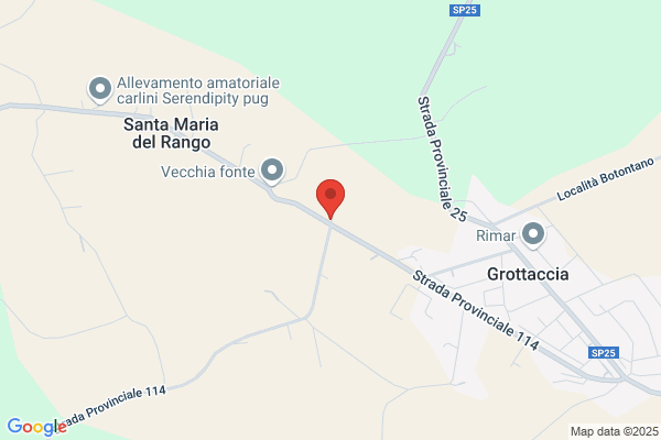 Pierige maurizio