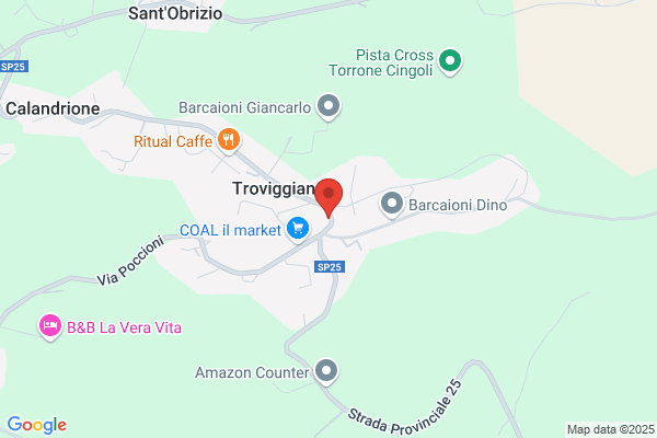 Poste Italiane S.P.A.