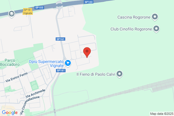 Riprolaser (S.R.L.)