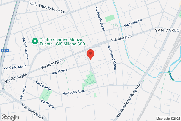 Avis Autonoleggio - Monza
