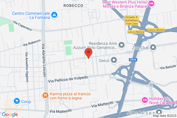 Silvana Editoriale (S.P.A.)