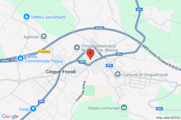 Municipio