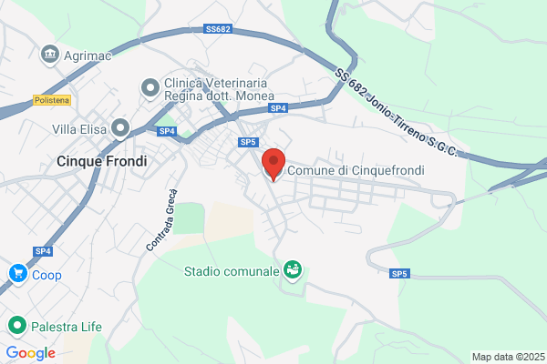 Municipio