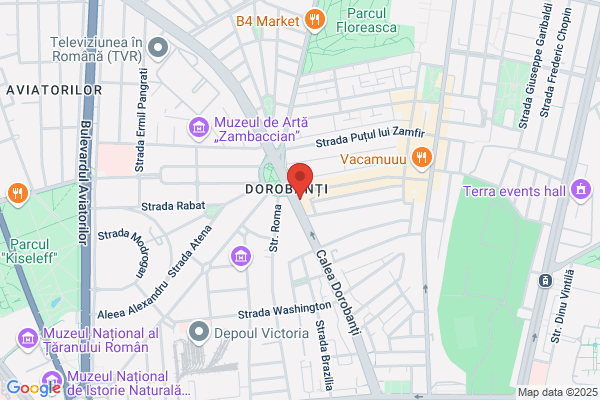 Yankee Srl