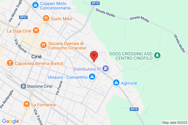 Revisioni Marangoni Baima Societa Consortile A R.L.