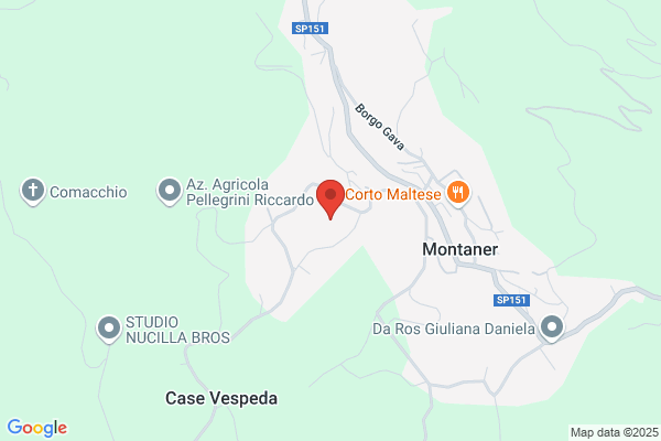 Microfor Di Castagneri & C. (S.N.C.)