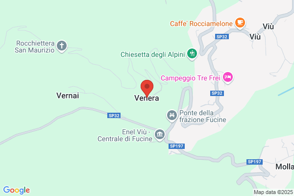 Venera andrea (Geom.)
