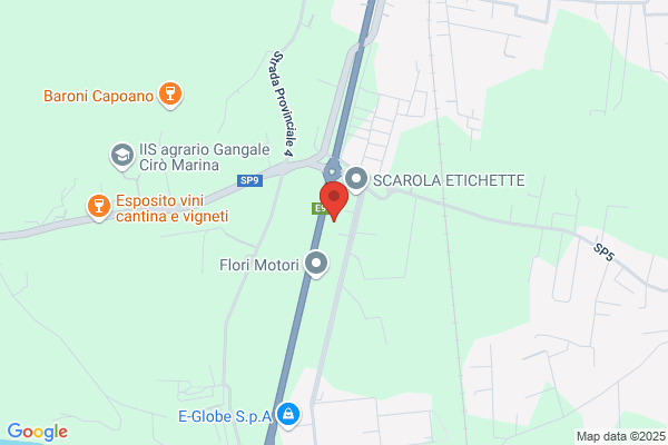 Dbn Service Soccorso Stradale
