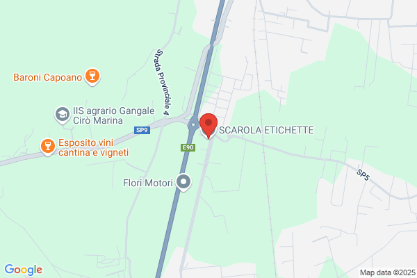 Scarola raffaele