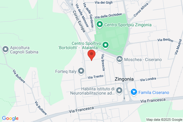 Carrozzeria Santin