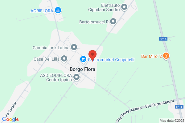 Scuola Elementare Borgo Flora