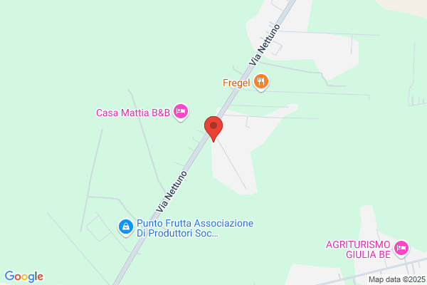 Officina Meccanica Potenziani Srl