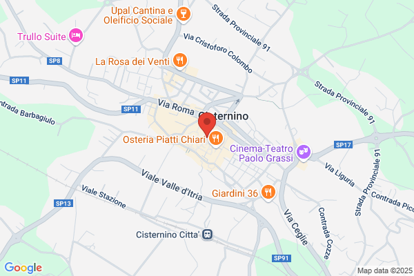 Palma leonardo