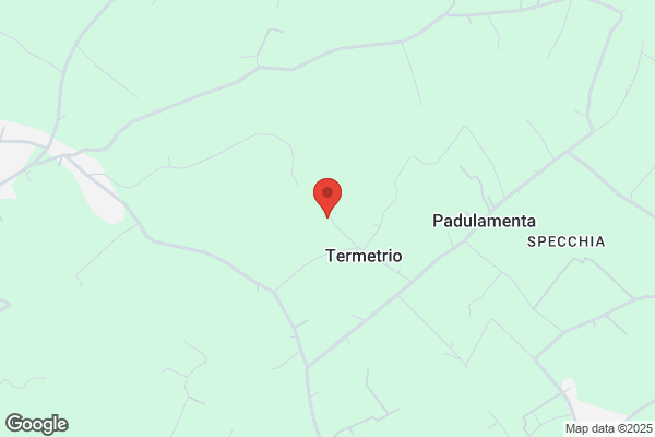 Scarafile tommaso