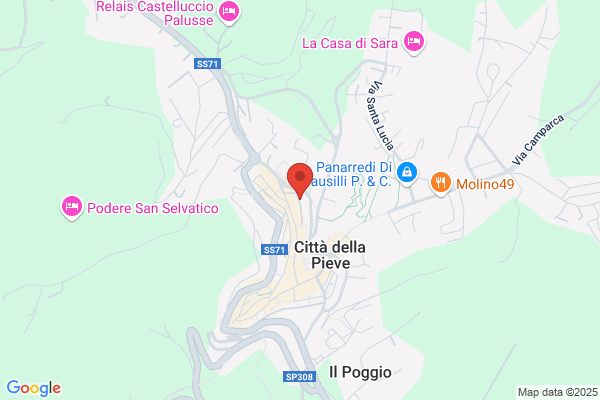Gallinella Massimo