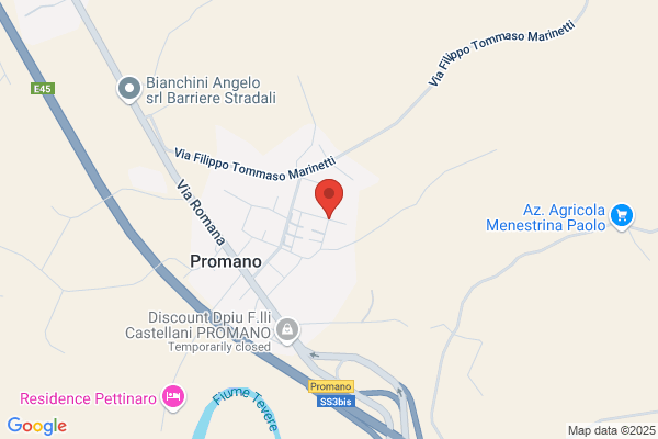 Thelma S.N.C. Di Borghini S. & C.