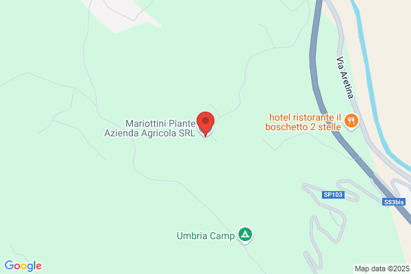 Mariottini Piante Azienda Agricola S.R.L.