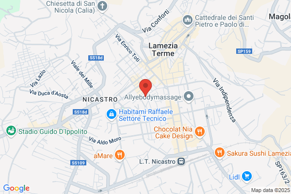 Istituto Di Vigilanza Diurna E Notturna S.N.C.