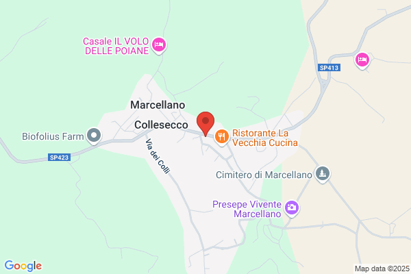 Partito Democratico Della Sinistra