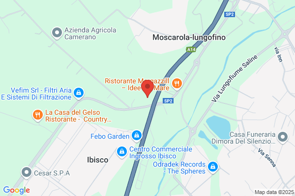 Salzetta rizziero