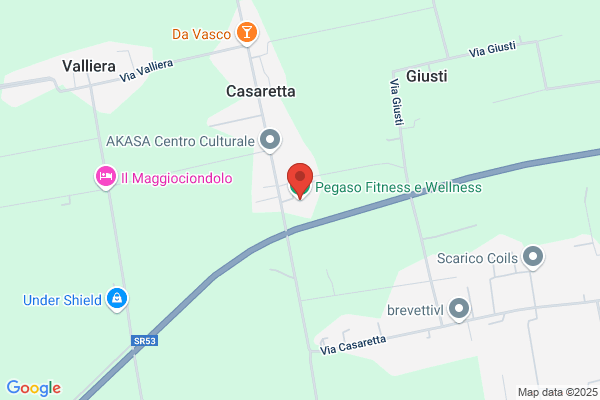 Palestra Pegaso Club