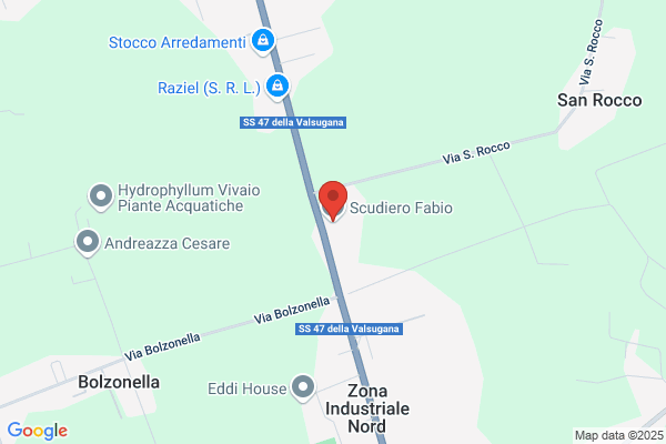 Orsenigo fabio