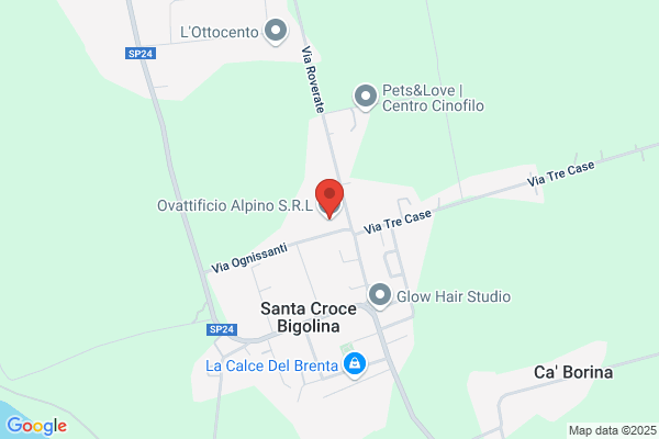 Ovattificio Alpino Di Trento Fernando E Leonardo s.N.C.