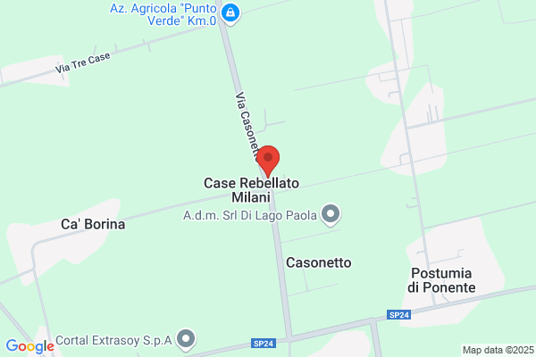 Rebellato angelo