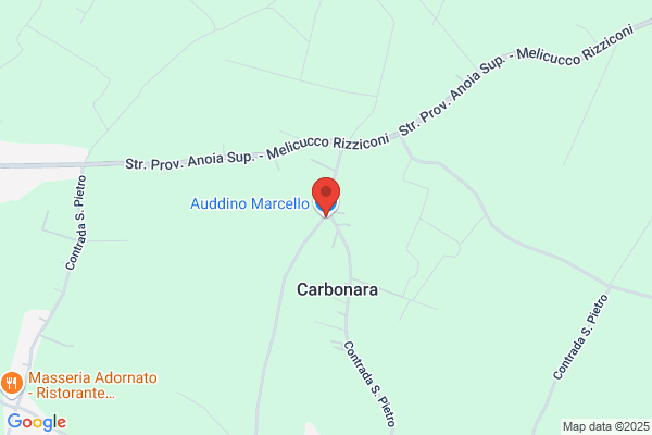 Auddino Marcello