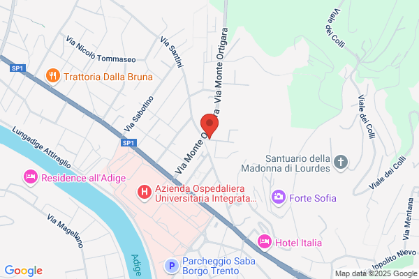 Istituto Delle Suore Missionarie Pie Madri Della nigrizia