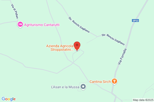Pizzini A. E Specogna L.