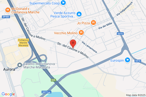 Mosca enzo