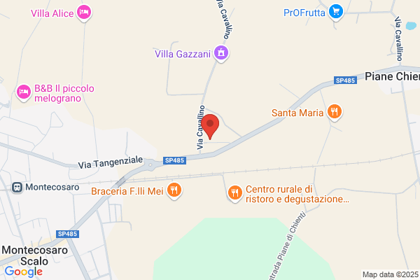 Torresi adelaide
